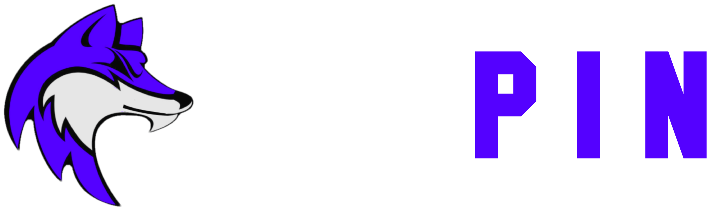 endpin
